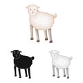 Vector design of sheep and anima icon. Collection of sheep and lamb stock vector illustration.