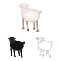 Vector design of sheep and anima icon. Collection of sheep and lamb stock vector illustration.