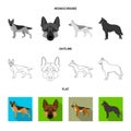 Isolated object of sheepdog and sheltie icon. Collection of sheepdog and shepherd vector icon for stock.