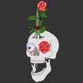 Vector design of skull dagger and roses