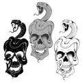 Snakes and skulls Royalty Free Stock Photo