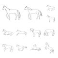 Vector design of stallion and galloping sign. Set of stallion and riding vector icon for stock. Royalty Free Stock Photo