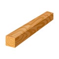 Vector design of timber and piece icon. Set of timber and section stock symbol for web.