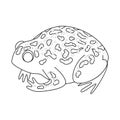 Isolated object of toad and tropical logo. Collection of toad and green stock vector illustration. Royalty Free Stock Photo