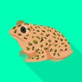 Isolated object of toad and tropical logo. Collection of toad and points vector icon for stock. Royalty Free Stock Photo