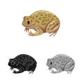 Vector design of toad and tropical logo. Collection of toad and green vector icon for stock. Royalty Free Stock Photo