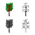 Vector design of tree and coffee icon. Set of tree and plant stock vector illustration. Royalty Free Stock Photo