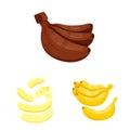 Isolated object of tropical and ripe symbol. Set of tropical and potassium vector icon for stock.