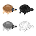 Vector design of turtle and robotic icon. Set of turtle and shell vector icon for stock.