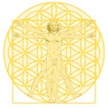 Vitruvian man with the flower of life Royalty Free Stock Photo