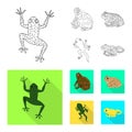 Isolated object of wildlife and bog logo. Set of wildlife and reptile vector icon for stock. Royalty Free Stock Photo