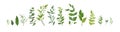 Vector designer elements set collection of green forest fern, tr Royalty Free Stock Photo