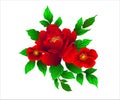 Vector designer flower red natural leaves herbs in watercolor style. Decorative beauty elegant illustration for design