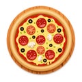 Vector detailed hot pizza with sticky cheese and salami icon