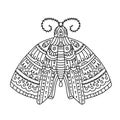 Vector detailed ornamental sketch of a moth,Hand drawn zentangle for adult anti stress. Coloring page with high details isolated