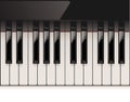 Vector detailed piano keyboard Royalty Free Stock Photo