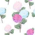 Vector detailed seamless pattern of hydrangea flowers on white background.