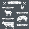 Vector diagram cut carcasses of chicken, pig, cow