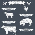 Vector diagram cut carcasses of chicken, pig, cow