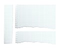 Vector different proportion torn copybook paper. Torn copybook sheet set.