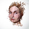 Vector dimensional low poly female portrait, graphic illustration of human head broken into fragments. 3d demolished object