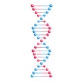 Vector DNA molecule, structure with chromosomes. Helix spiral with genetic code. Molecular biology andgenetic engineering studies