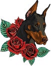 vector Dobermann dog face with red roses