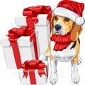 Vector Dog Beagle in the hat of Santa Claus