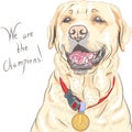 Vector dog breed Labrador Retriever champion Royalty Free Stock Photo