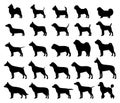 Vector dog breeds silhouettes collection isolated on white Royalty Free Stock Photo