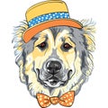 Vector dog Caucasian Shepherd Dog breed in hat and bow tie