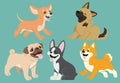 Dog flat cartoon set