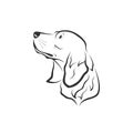 Vector of a dog head designGolden Retriever on white background. Pets. Easy editable layered vector illustration. Animals Royalty Free Stock Photo