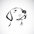 Vector of a dog headLabrador Retriever on white background. Royalty Free Stock Photo