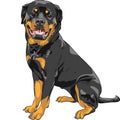 Vector dog Rottweiler breed Royalty Free Stock Photo