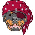 Vector Dog Rottweiler Pirate