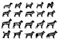 Vector dog silhouettes collection on white. Dogs breeds Royalty Free Stock Photo