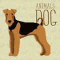 Vector Dogs Collection