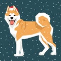 Vector Dogs Collection