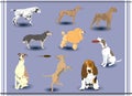 Vector dogs