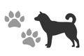 Vector dogs footprints and silhouette of a black dog isolated on a white background Royalty Free Stock Photo