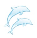 Vector Dolphins silhouette of water