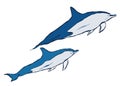 Vector dolphins. Underwater animal illustration isolated on white background. For design, prints, fabric or background.