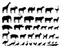 Vector domestic and wild animals silhouettes collection Royalty Free Stock Photo