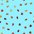 Vector doodle autumn leaves seamless pattern