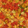 Vector doodle autumn leaves seamless pattern Royalty Free Stock Photo
