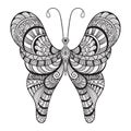 Vector Doodle Butterfly,