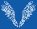 Vector doodle drawing of fantasy white angel wings