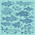 Vector doodle set of fish of different shapes with various hand-drawn patterns, isolated. Marine animals, sea, travel. Royalty Free Stock Photo