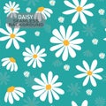 Vector doodle white daisy flower pattern on pastel mint green background, seamless background Royalty Free Stock Photo